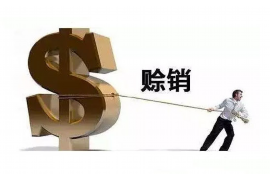 张家界要账公司更多成功案例详情